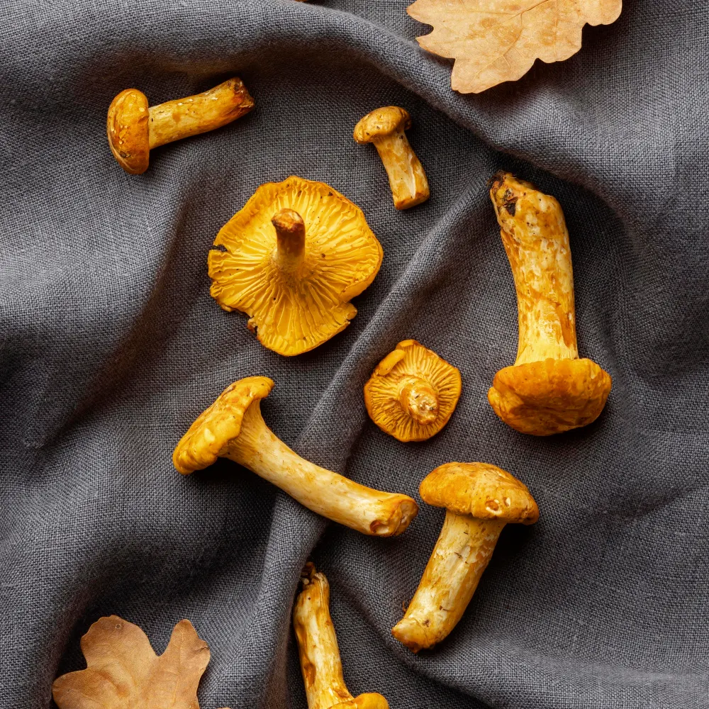 Mushrooms