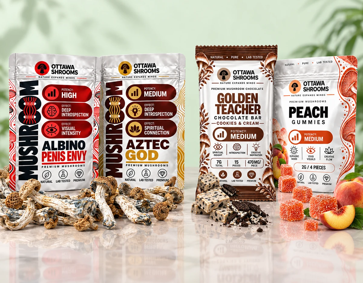 Mushroom Edibles vs Dried Magic Mushrooms: Which Should You Choose?