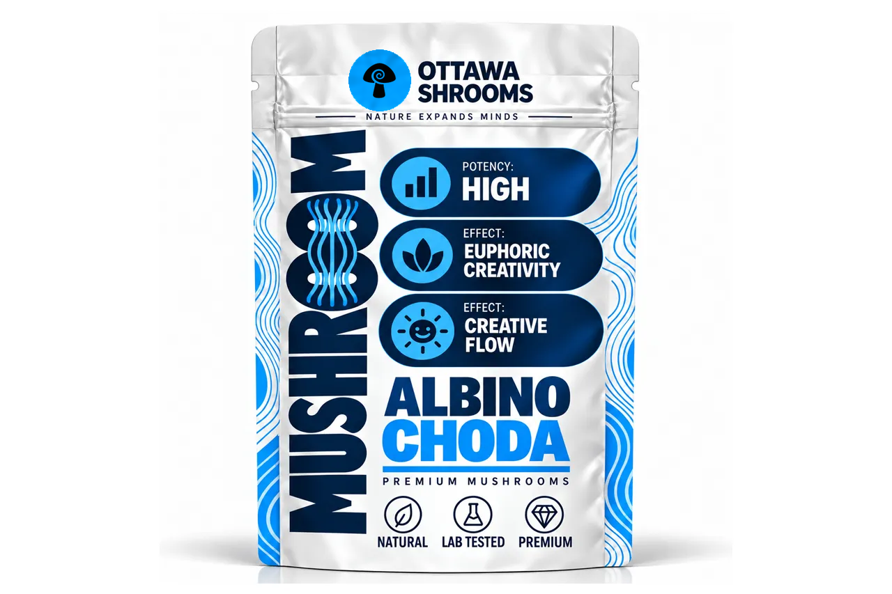 Albino Choda – Buy Lab-Tested Magic Mushrooms in Ottawa