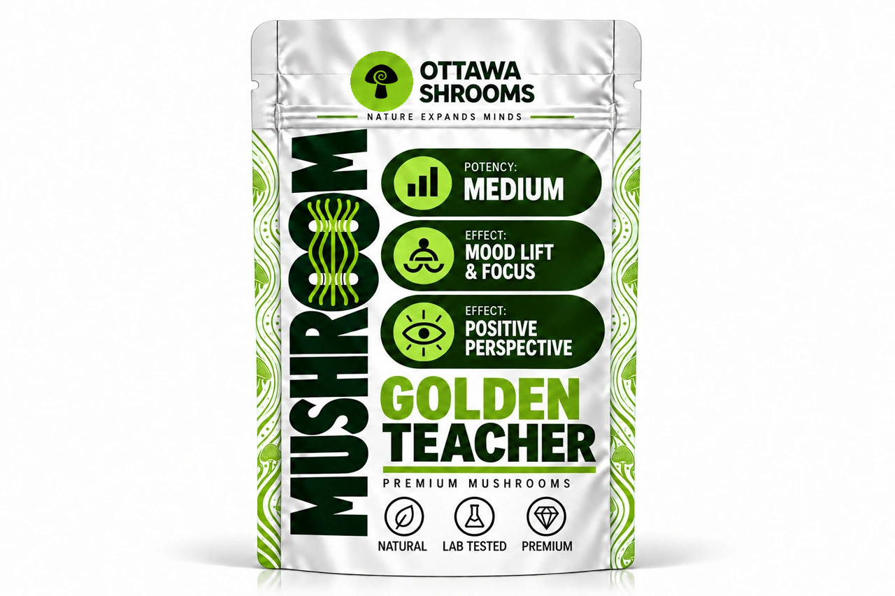 Golden Teacher – Buy Lab-Tested Magic Mushrooms in Ottawa