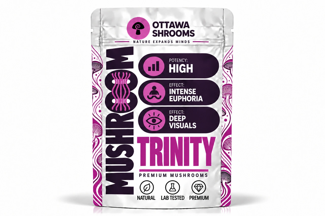 White Rabbit – Buy Lab-Tested Magic Mushrooms in Ottawa