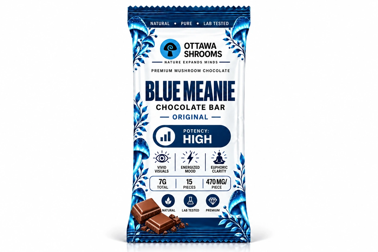 Chocolate Blue Meanie – Buy Lab-Tested Magic Mushrooms in Ottawa