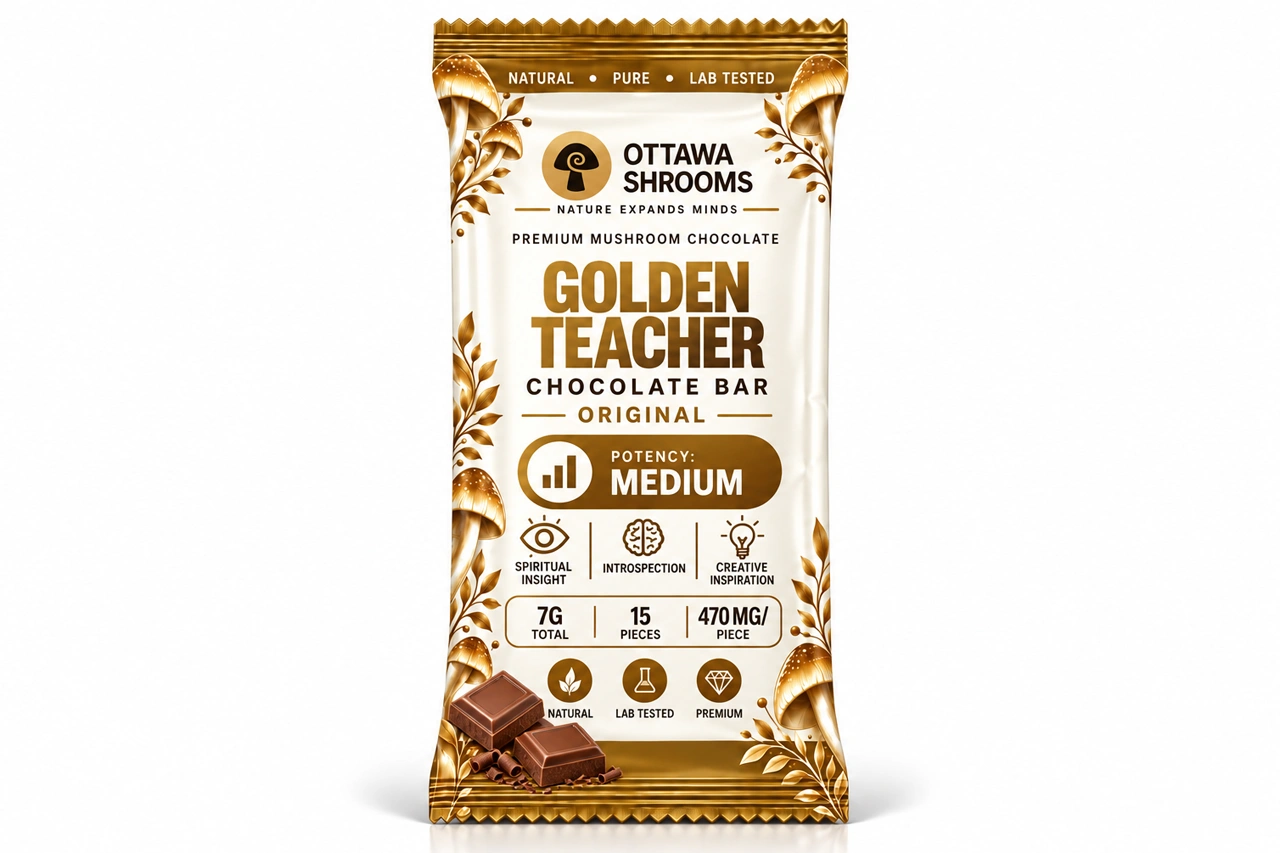 Chocolate Bar Golden Teacher – Buy Lab-Tested Magic Mushrooms in Ottawa